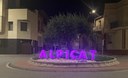 Alpicat s’adhereix a la celebració del Dia Internacional de la Prematuritat