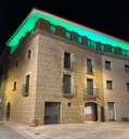 Alpicat s'il·lumina de verd en suport al Dia Mundial Contra el Càncer