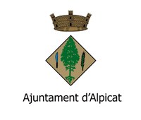 Ple extraordinari 3 de novembre